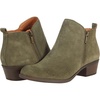 Olive Night