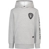 Guitar Pick Grey Heather